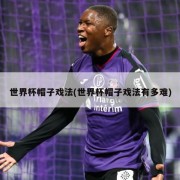 世界杯帽子戏法(世界杯帽子戏法有多难)