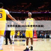 世界杯美国(2022年世界杯美国)
