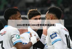 2002世界杯(2002世界杯中国战绩)