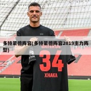 多特蒙德阵容(多特蒙德阵容2019主力阵型)