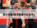戴尔库里(戴尔库里什么水平)
