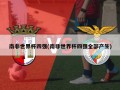 南非世界杯四强(南非世界杯四强全部产生)