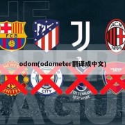 odom(odometer翻译成中文)