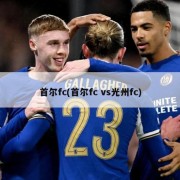 首尔fc(首尔fc vs光州fc)
