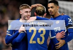 首尔fc(首尔fc vs光州fc)