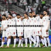 季米特洛夫网球(网球季米特洛夫图片)