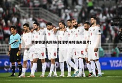 季米特洛夫网球(网球季米特洛夫图片)