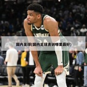国内足球(国内足球青训哪里最好)
