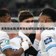 天天羽毛球(天天羽毛球可以和好友对战吗)