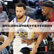 因布拉(因布拉宫吵闹而分手是分手的原因吗)