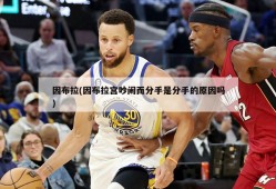 因布拉(因布拉宫吵闹而分手是分手的原因吗)