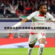 世界杯乌龙球(世界杯乌龙球回国被杀)