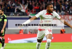 世界杯乌龙球(世界杯乌龙球回国被杀)