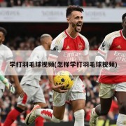 学打羽毛球视频(怎样学打羽毛球视频)