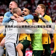 世界杯2022(世界杯2022赛程及结果)
