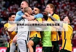 世界杯2022(世界杯2022赛程及结果)