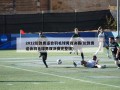2012伦敦奥运会羽毛球男双决赛(伦敦奥运会羽毛球男双决赛完整版)