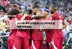 2010世界杯进球集锦(2010世界杯进球集锦央视版)