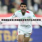 西雅图超音速(西雅图超音速为什么改叫雷霆)