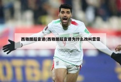 西雅图超音速(西雅图超音速为什么改叫雷霆)