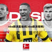 nba新浪直播间(nba新浪视频)