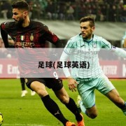 足球(足球英语)