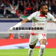 拉里伯德(拉里伯德集锦)