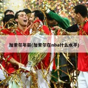 加索尔年薪(加索尔在nba什么水平)