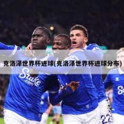 克洛泽世界杯进球(克洛泽世界杯进球分布)