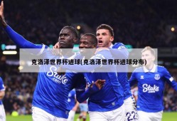 克洛泽世界杯进球(克洛泽世界杯进球分布)