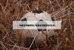 中国足球国家队(中国足球国家队队长)