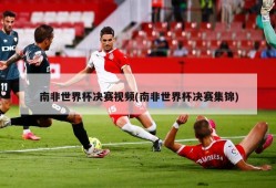 南非世界杯决赛视频(南非世界杯决赛集锦)
