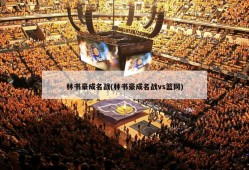 林书豪成名战(林书豪成名战vs篮网)