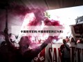 中国排球***(中国排球***记分表)