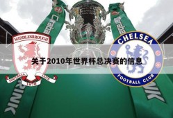 关于2010年世界杯总决赛的信息