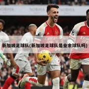 新加坡足球队(新加坡足球队是业余球队吗)