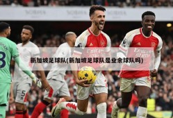 新加坡足球队(新加坡足球队是业余球队吗)