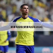 武清马拉松(武清马拉松2024)