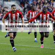 塞尔维亚足球国家队(塞尔维亚足球国家队名单)