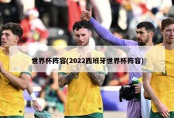 世界杯阵容(2022西班牙世界杯阵容)