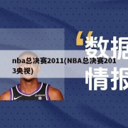 nba总决赛2011(NBA总决赛2013央视)