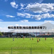帕拉西奥斯(帕拉西奥斯去哪了)