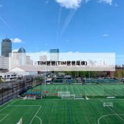 TIM爸爸(TIM爸爸是谁)