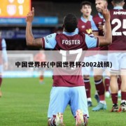 中国世界杯(中国世界杯2002战绩)
