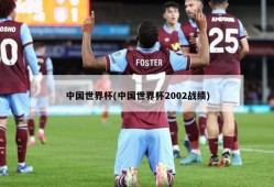 中国世界杯(中国世界杯2002战绩)