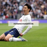 羽毛球运动员(羽毛球运动员王昶)