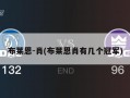 布莱恩-肖(布莱恩肖有几个冠军)