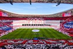 网球李婷(网球李婷现在干什么)