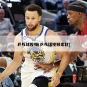 乒乓球视频(乒乓球视频素材)