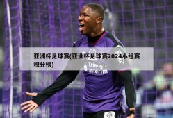 亚洲杯足球赛(亚洲杯足球赛2024小组赛积分榜)